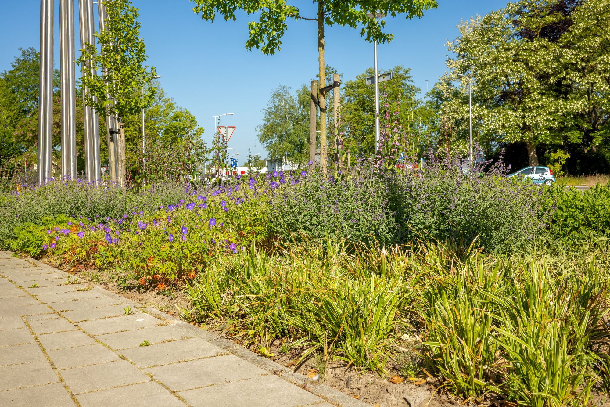 Biodiversiteit en bloemen